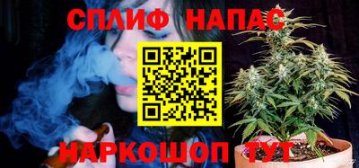 молекула духа Славянск-на-Кубани