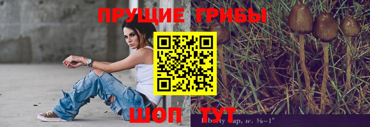 Москва  Галлюциногенные грибы прущие грибы  Псилоцибиновые грибы Cubensis  Вход с VPN 