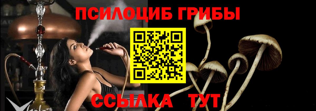 Псилоцибиновые грибы Magic Shrooms Москва